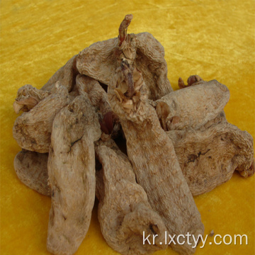 Gastrodia elata Blume 차